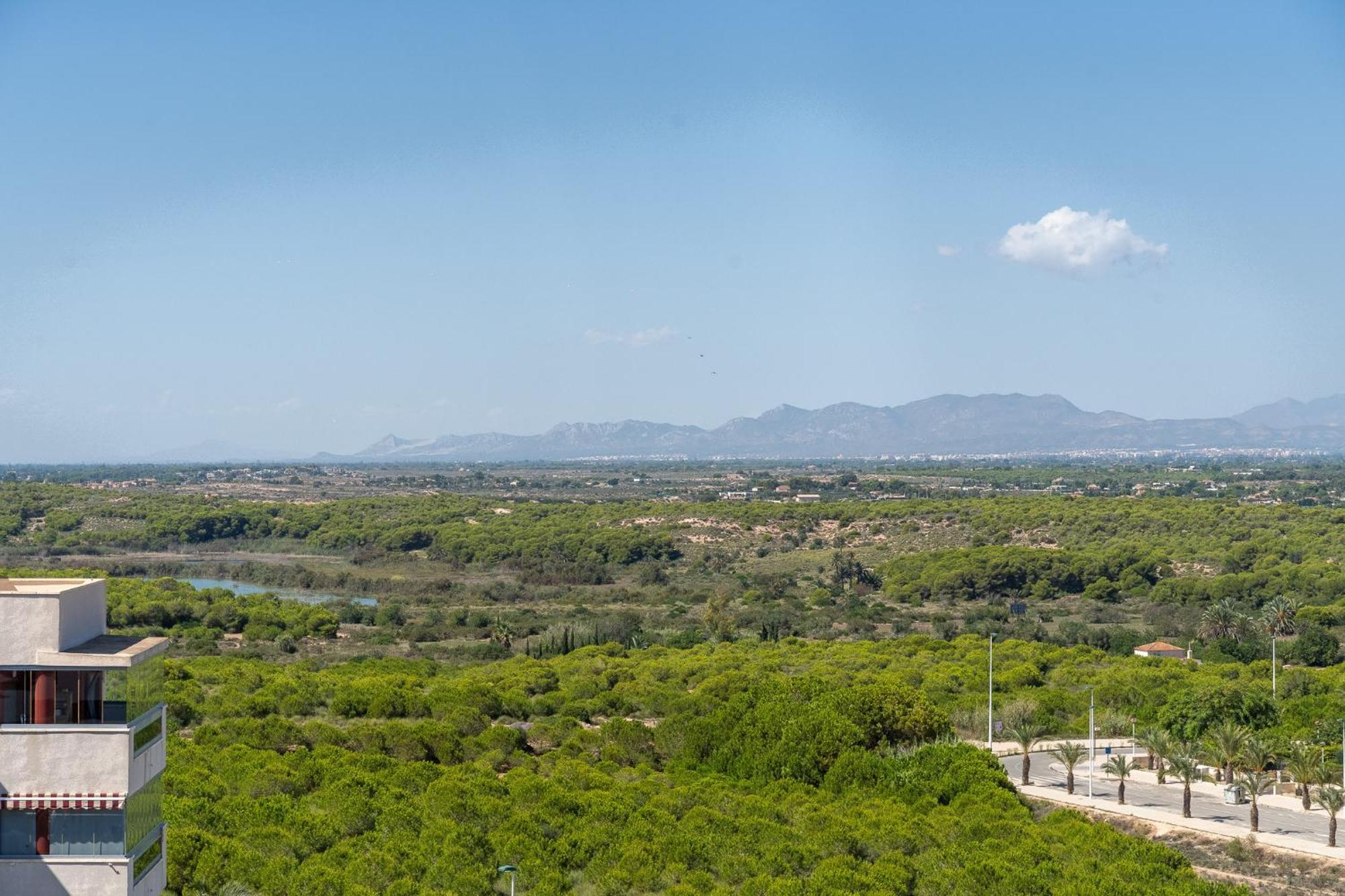 Arenales Bahia Penthouse Διαμέρισμα Arenales del Sol Εξωτερικό φωτογραφία